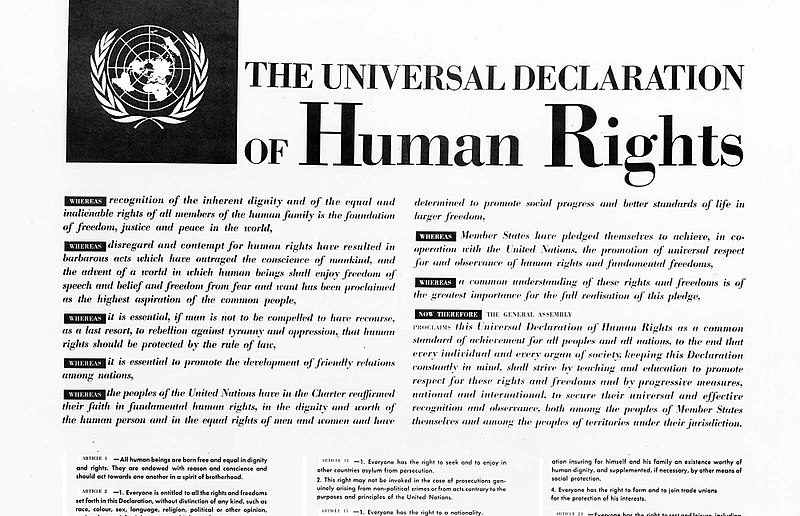 deklaracija o ljudskim pravima